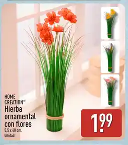 ALDI HOME CREATION Hierba ornamental con flores oferta