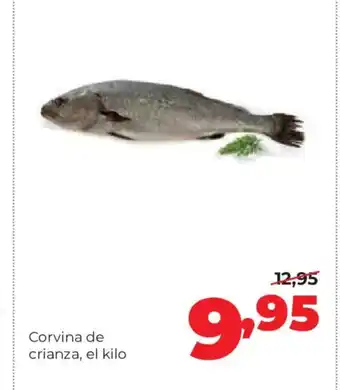 Alimerka Corvina de crianza oferta