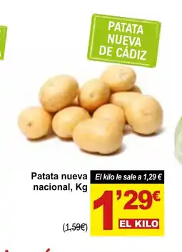 SPAR Patata nueva nacional oferta