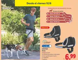 Lidl ZOOFARI Arnés oferta