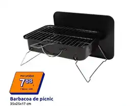 Action Barbacoa de picnic oferta