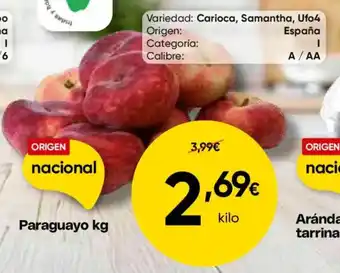 FROIZ Paraguayo oferta