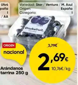FROIZ Arándanos tarrina oferta