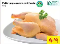 Alcampo Pollo limpio entero certificado clb auchan bja atm kg oferta
