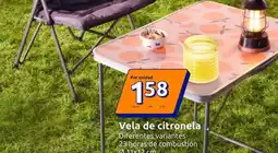 Action Vela de citronela oferta