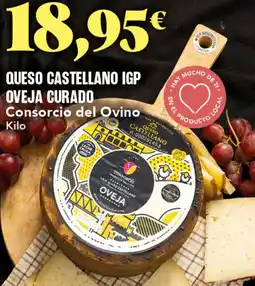 Gadis CONSORCIO DEL OVINO Queso castellano igp oveja curado oferta