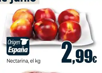 Unide Supermercados Nectarina oferta