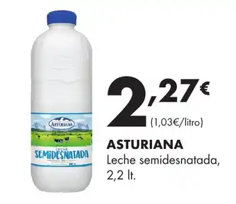 Supermercados Lupa ASTURIANA Leche semidesnatada oferta
