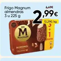 FROIZ MAGNUM Frigo almendras oferta