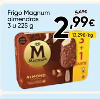 FROIZ MAGNUM Frigo almendras oferta