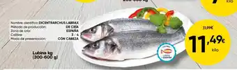 FROIZ Lubina oferta