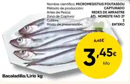 FROIZ Bacaladilla/Lirio oferta