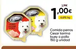 FROIZ CESAR Comida perros tarrina buey o pollo oferta