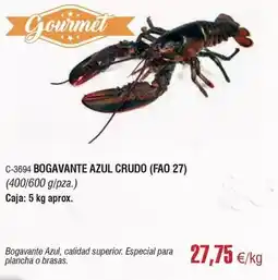 Abordo Gourmet - bogavante azul crudo oferta