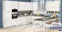 Mondo Convenienza Composición básica eucalipto blanco oferta