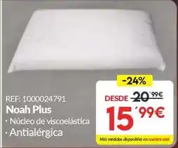 Embargos a lo bestia Noah plus oferta