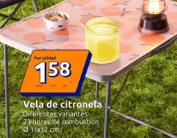 Action Vela de citronela oferta