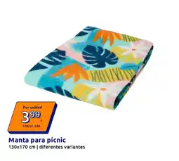 Action Manta para pícnic oferta