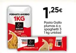 Cash FROIZ GALLO Pasta plumas 6 o spaghetti 3 oferta