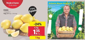 Lidl Limón 1kg oferta