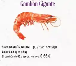 Abordo Gambon gigante oferta