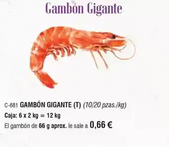 Abordo Gambon gigante oferta