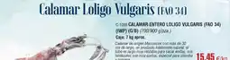 Abordo Origen - calamar loligo oferta