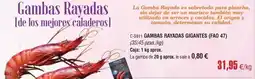 Abordo Origen - gambas rayadas oferta