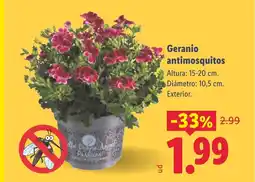 Lidl Geranio antimosquitos oferta