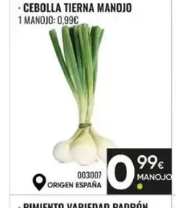Family Cash Cebolla tierna manojo oferta