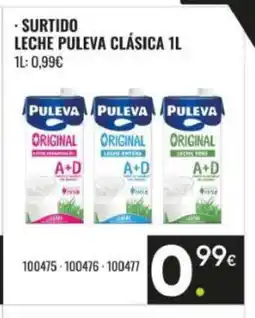 Family Cash Surtido leche puleva clásica oferta