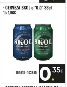 Family Cash SKOL Cerveza o 0,0 oferta