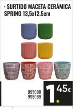 Family Cash Surtido maceta cerámica spring oferta