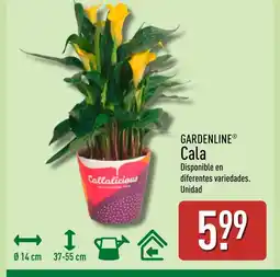 ALDI GARDENLINE Cala oferta