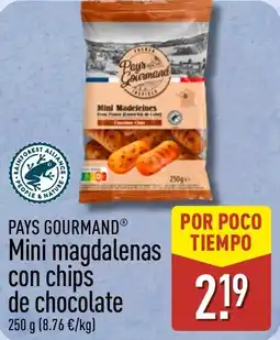 ALDI PAYS GOURMAND Mini magdalenas con chips de chocolate oferta