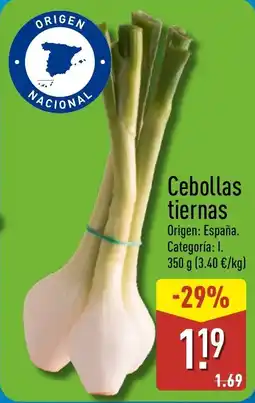 ALDI Cebollas tiernas oferta