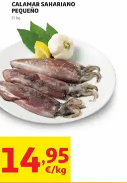Alcampo Calamar sahariano pequeño oferta
