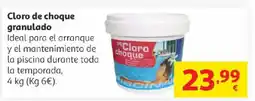 Alcampo Cloro de choque granulado oferta