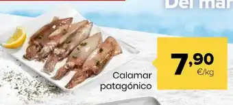 Autoservicios Familia Calamar patagónico oferta