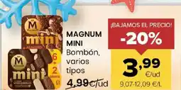 Autoservicios Familia MAGNUM MINI Bombón, varios tipos oferta