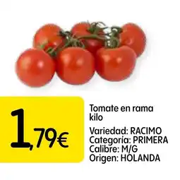 Dialprix Tomate en rama oferta