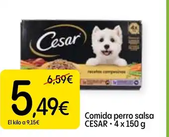 Dialprix CESAR Comida perro salsa oferta