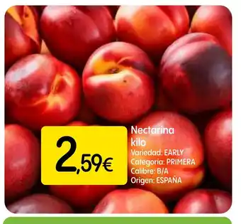 Dialprix Nectarina oferta