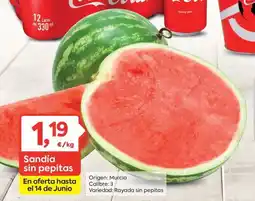 Suma Supermercados Sandía sin pepitas oferta