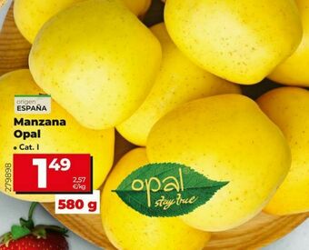 Dia Manzanas oferta