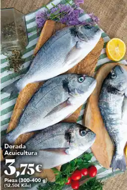 Gadis Dorada Acuicultura oferta