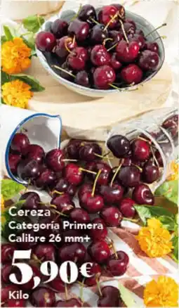 Gadis Cereza Categoría Primera Calibre 26 mm+ oferta