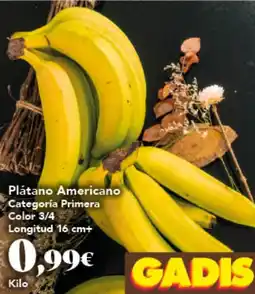 Gadis Plátano Americano oferta
