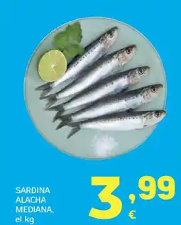 HiperDino Sardina alacha mediana oferta