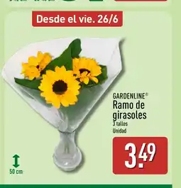 ALDI GARDENLINE Ramo de girasoles oferta